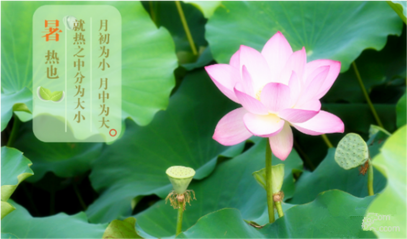 暑臻三伏醉難熬，拭汗揮巾似雨飄——鐵絲成型機
