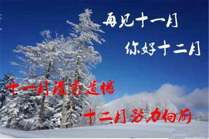 11月再見 ，12月你好——貝朗全自動鋼絲機(jī)