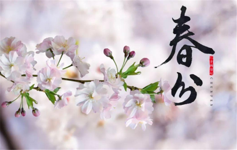 二十四節氣——春分有哪些習俗？